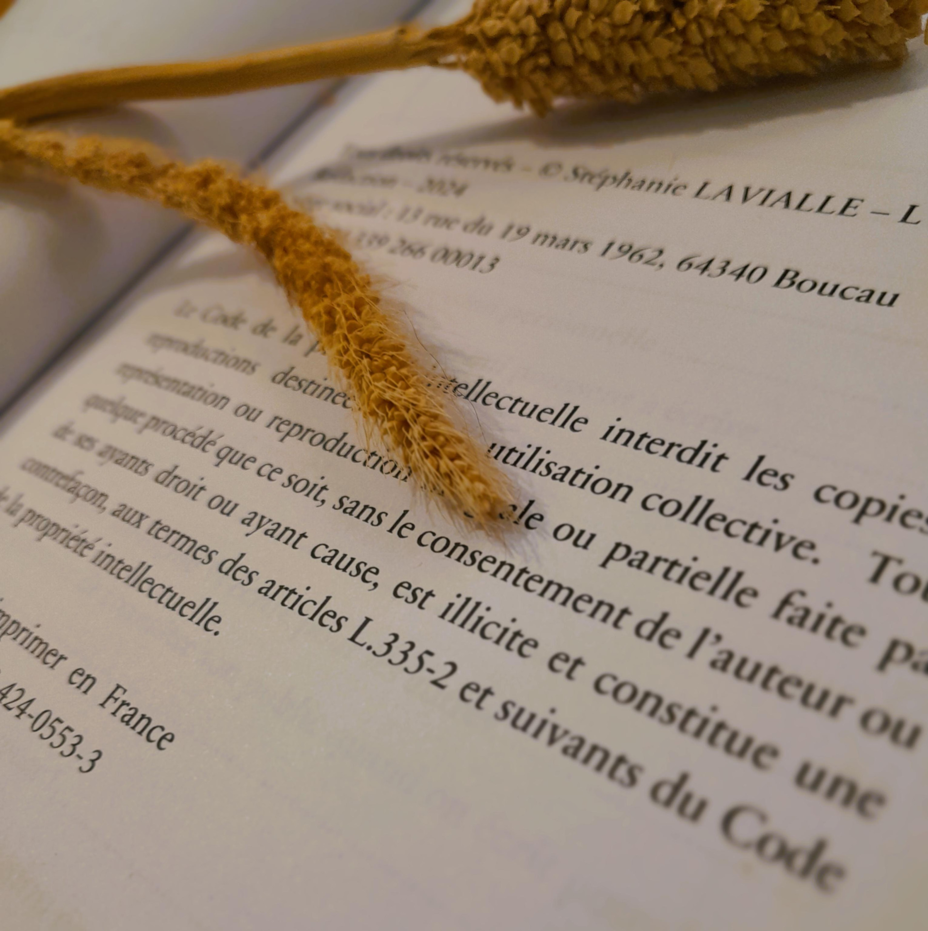 Les mentions obligatoires d'un livre